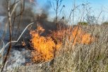В Амурской области бушует 15 природных пожаров