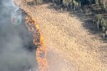 На территории Амурской области действует 10 природных пожаров