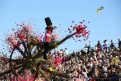 На параде цветов в Ницце букеты летели в зрителей.