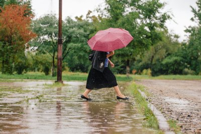 В столице Приамурья в четверг сильный дождь и облачность