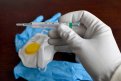 В Приамурье 22 заболевших коронавирусом: суточные итоги пандемии