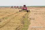 Губернатор Приамурья: «Константиновскому району нужны инвестиции в сельское хозяйство»