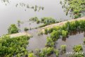 Паводок в Приамурье: для подтопленцев готовы развернуть ПВР на четыре тысячи человек
