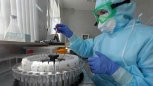 Более заразные мутации коронавируса вытесняют другие штаммы