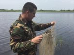 Озера в амурских заказниках очищают от рыболовных сетей и мусора