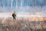 По поручению Путина борьбу с лесными пожарами в регионах сделают эффективнее