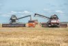«Работали в экстремальных условиях»: в Ивановском районе приступили к уборке зерновых