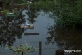 В 40 селах Приамурья подтоплен 131 жилой дом: сводка паводка на 15 августа
