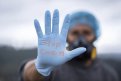 Четвертая волна: в России зафиксирована рекордная суточная смертность от коронавируса