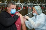 В октябре обязательную вакцинацию для некоторых категорий работников ввели 24 региона России