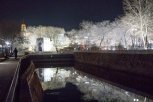 Два путепровода и мостик в парке Дружбы подсветят в этом году в Благовещенске