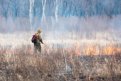 Четыре лесных пожара потушили в Свободненском и Архаринском районах