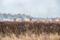 На севере Приамурья введен особый противопожарный режим