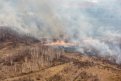 Почти все природные пожары в Амурской области удается тушить за день