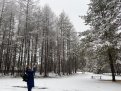 Снег с дождём пообещали синоптики амурскому северу
