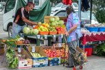 Продавцам сельхозярмарок в Приамурье предоставлено более тысячи дополнительных мест