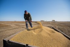 Governor Vasily Orlov congratulated Amur residents on the Day of Agricultural Workers
