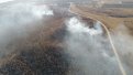 Сильный ветер в Приамурье усиливает опасность распространения лесных пожаров
