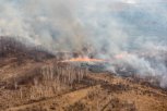 Лесной пожар в природном парке «Хинганский» локализован