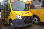 Амурская область получила 38 новых школьных автобусов