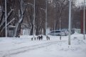Бездомный пес напал на 10-летнюю девочку в Шимановске