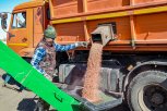 Амурские власти направят 11,5 миллиона рублей на поддержку молодых аграриев