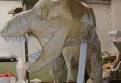 Житель Благовещенска украсит газон скульптурой динозавра из искусственной травы