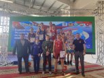 Амурские борцы завоевали медали на первенстве ДФО и отправятся на всероссийский турнир