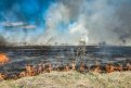Сильные лесные пожары предрекли северу Амурской области