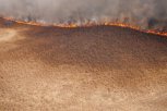 В Амурской области поджигателя сухой травы нашли по следам автомобиля