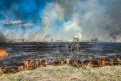 Амурские пожарные за сутки тушили 26 палов и пять природных пожаров