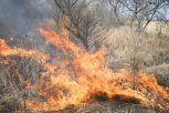 Разожженный костер стал причиной пала в Тамбовском округе