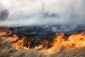 Гнездо с журавлями защитили от огня пожарные в Тамбовском округе