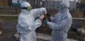 В Амурской области подтвержден случай птичьего гриппа