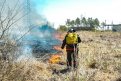 Семь природных пожаров площадью 3,6 тысячи гектаров потушили в Приамурье