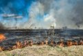 Пять природных пожаров площадью 432 гектара действуют в Амурской области