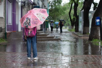 Кратковременный дождь и грозу придется пережить отдельным районам Амурской области