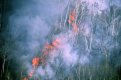 Трое виновников лесных пожаров в Приамурье заплатят 1,6 миллиона рублей за их тушение