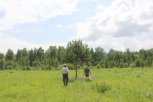 В Приамурье в этом году оформили более трехсот дальневосточных гектаров