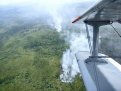 В Приамурье на тушение лесных пожаров привлечены 50 специалистов из Красноярска и Хакасии