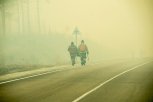 На территории Амурской области действуют 44 природных пожара