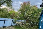 Сильный ветер с ливнем в Новокиевском Увале повалил деревья и снес кровлю со школы