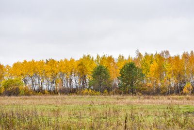В понедельник в Приамурье без осадков: прогноз погоды на 2 октября