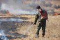 Пять природных пожаров тушат в Амурской области