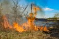 В большинстве районов Амурской области установлен высокий класс пожарной опасности