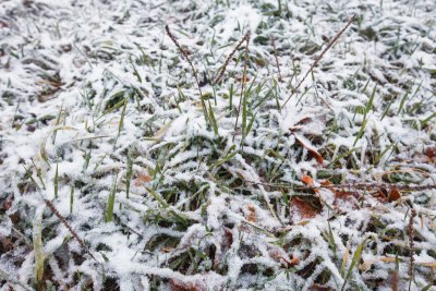 Мокрый снег и снег пройдет местами в Приамурье