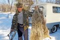 За каждую шкуру убитого волка амурчанам на руки выплачивают около 6 400 рублей. Фото: Архив АП