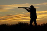 В Приамурье охота на фазана из ружья погибшего обернулась уголовным делом