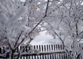 Мороз до -41 градуса: погода в Приамурье на понедельник, 11 декабря