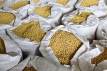 Экспорт амурских зерна и сои в 2023 году побил рекорды